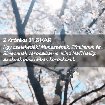 Picture 02 - 2 Krónika 34:6 KAR - [Így cselekedék] Manassénak, Efraimnak és - Bible Verse Picture