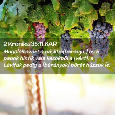 Picture 02 - 2 Krónika 35:11 KAR - Megölék azért a páskha[bárányt,] és a - Bible Verse Picture