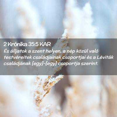 Picture 02 - 2 Krónika 35:5 KAR - És álljatok a szent helyen, a nép közül - Bible Verse Picture