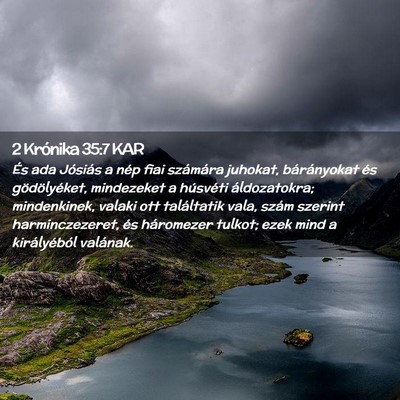Picture 02 - 2 Krónika 35:7 KAR - És ada Jósiás a nép fiai számára juhokat, - Bible Verse Picture