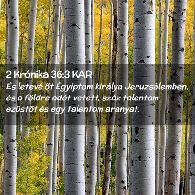 Picture 02 - 2 Krónika 36:3 KAR - És letevé õt Égyiptom királya - Bible Verse Picture