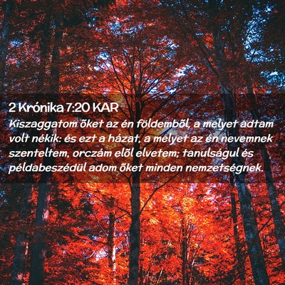Picture 02 - 2 Krónika 7:20 KAR - Kiszaggatom õket az én földembõl, a melyet - Bible Verse Picture