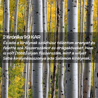 Picture 02 - 2 Krónika 9:9 KAR - És ada a királynak százhúsz tálentom aranyat - Bible Verse Picture