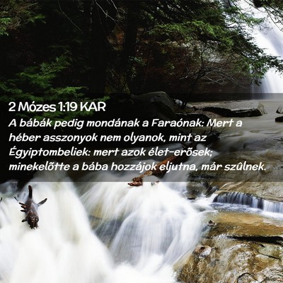 Picture 02 - 2 Mózes 1:19 KAR - A bábák pedig mondának a Faraónak: Mert a - Bible Verse Picture