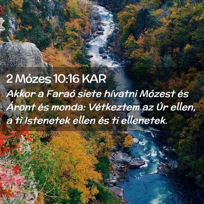 Picture 02 - 2 Mózes 10:16 KAR - Akkor a Faraó siete hívatni Mózest és Áront - Bible Verse Picture