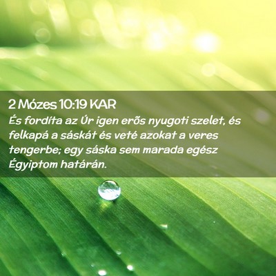 Picture 02 - 2 Mózes 10:19 KAR - És fordíta az Úr igen erõs nyugoti szelet, - Bible Verse Picture