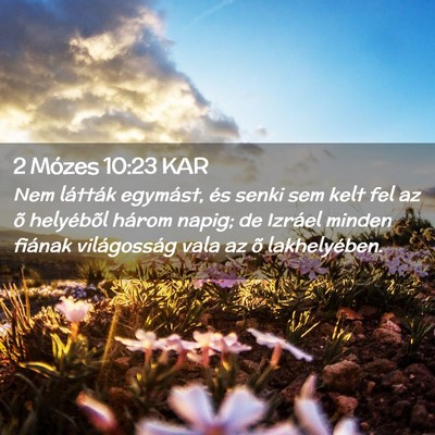 Picture 02 - 2 Mózes 10:23 KAR - Nem látták egymást, és senki sem kelt fel az - Bible Verse Picture