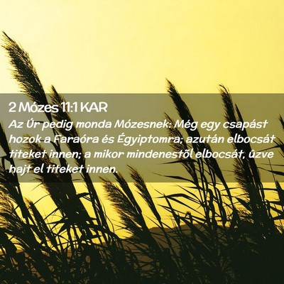 Picture 02 - 2 Mózes 11:1 KAR - Az Úr pedig monda Mózesnek: Még egy csapást - Bible Verse Picture