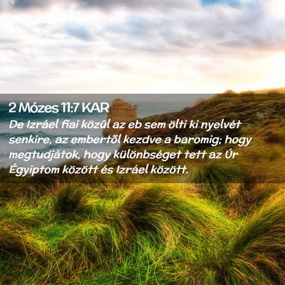 Picture 02 - 2 Mózes 11:7 KAR - De Izráel fiai közûl az eb sem ölti ki - Bible Verse Picture