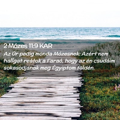 Picture 02 - 2 Mózes 11:9 KAR - Az Úr pedig monda Mózesnek: Azért nem hallgat - Bible Verse Picture
