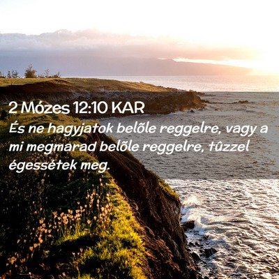 Picture 02 - 2 Mózes 12:10 KAR - És ne hagyjatok belõle reggelre, vagy a mi - Bible Verse Picture