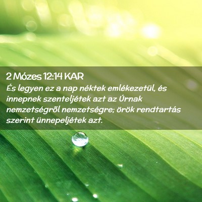 Picture 02 - 2 Mózes 12:14 KAR - És legyen ez a nap néktek emlékezetül, és - Bible Verse Picture