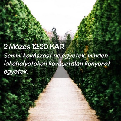 Picture 02 - 2 Mózes 12:20 KAR - Semmi kovászost ne egyetek, minden - Bible Verse Picture