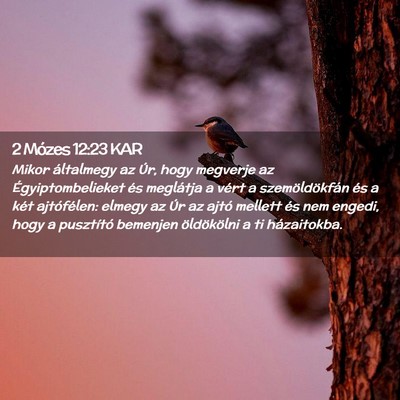 Picture 02 - 2 Mózes 12:23 KAR - Mikor általmegy az Úr, hogy megverje az - Bible Verse Picture
