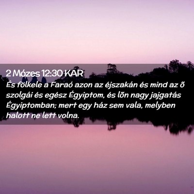 Picture 02 - 2 Mózes 12:30 KAR - És fölkele a Faraó azon az éjszakán és mind - Bible Verse Picture