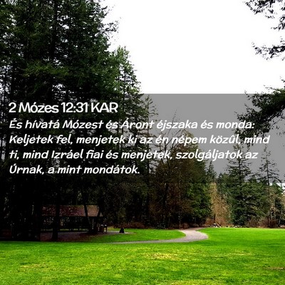 Picture 02 - 2 Mózes 12:31 KAR - És hívatá Mózest és Áront éjszaka és - Bible Verse Picture