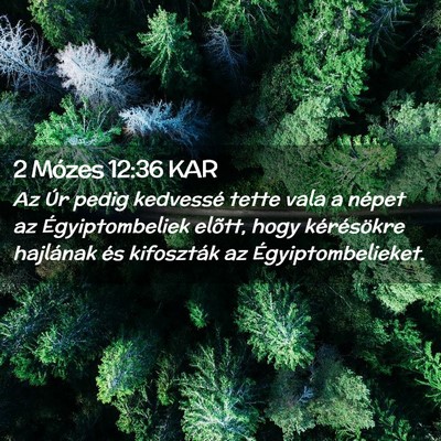 Picture 02 - 2 Mózes 12:36 KAR - Az Úr pedig kedvessé tette vala a népet az - Bible Verse Picture