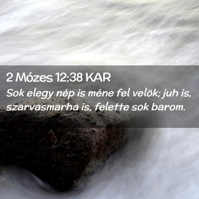 Picture 02 - 2 Mózes 12:38 KAR - Sok elegy nép is méne fel velök; juh is, - Bible Verse Picture