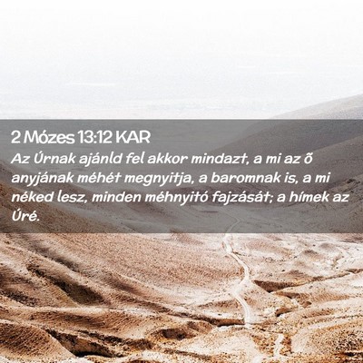 Picture 02 - 2 Mózes 13:12 KAR - Az Úrnak ajánld fel akkor mindazt, a mi az õ - Bible Verse Picture