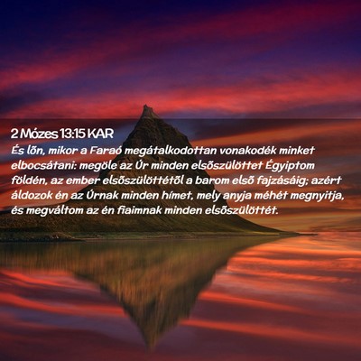 Picture 02 - 2 Mózes 13:15 KAR - És lõn, mikor a Faraó megátalkodottan - Bible Verse Picture