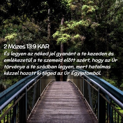 Picture 02 - 2 Mózes 13:9 KAR - És legyen az néked jel gyanánt a te kezeden - Bible Verse Picture