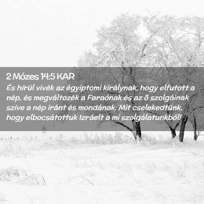 Picture 02 - 2 Mózes 14:5 KAR - És hírül vivék az égyiptomi királynak, hogy - Bible Verse Picture