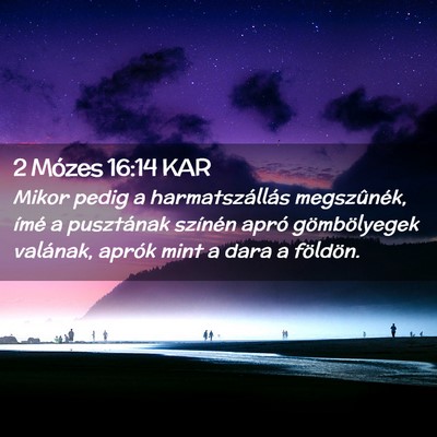 Picture 02 - 2 Mózes 16:14 KAR - Mikor pedig a harmatszállás megszûnék, ímé - Bible Verse Picture