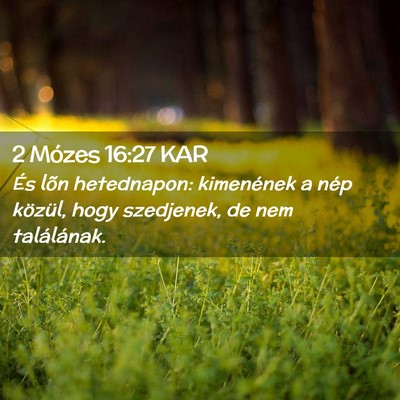 Picture 02 - 2 Mózes 16:27 KAR - És lõn hetednapon: kimenének a nép közül, - Bible Verse Picture