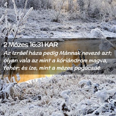 Picture 02 - 2 Mózes 16:31 KAR - Az Izráel háza pedig Mánnak nevezé azt; olyan - Bible Verse Picture