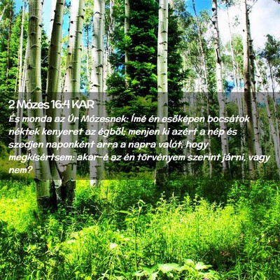 Picture 02 - 2 Mózes 16:4 KAR - És monda az Úr Mózesnek: Ímé én esõképen - Bible Verse Picture