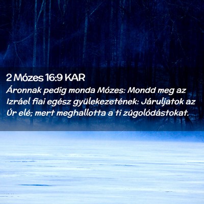 Picture 02 - 2 Mózes 16:9 KAR - Áronnak pedig monda Mózes: Mondd meg az Izráel - Bible Verse Picture