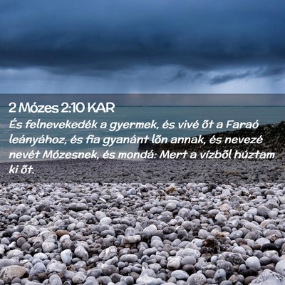 Picture 02 - 2 Mózes 2:10 KAR - És felnevekedék a gyermek, és vivé õt a - Bible Verse Picture