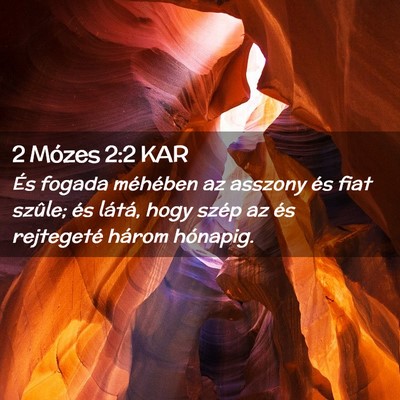 Picture 02 - 2 Mózes 2:2 KAR - És fogada méhében az asszony és fiat szûle; - Bible Verse Picture