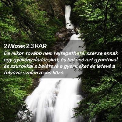 Picture 02 - 2 Mózes 2:3 KAR - De mikor tovább nem rejtegetheté, szerze annak - Bible Verse Picture