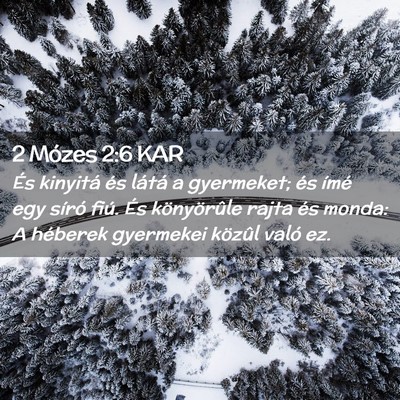 Picture 02 - 2 Mózes 2:6 KAR - És kinyitá és látá a gyermeket; és ímé - Bible Verse Picture