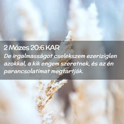 Picture 02 - 2 Mózes 20:6 KAR - De irgalmasságot cselekszem ezeriziglen azokkal, - Bible Verse Picture
