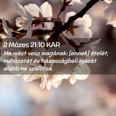 Picture 02 - 2 Mózes 21:10 KAR - Ha mást vesz magának: [ennek] ételét, - Bible Verse Picture
