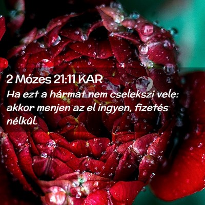 Picture 02 - 2 Mózes 21:11 KAR - Ha ezt a hármat nem cselekszi vele: akkor menjen - Bible Verse Picture