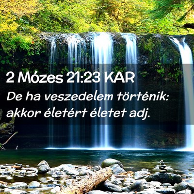 Picture 02 - 2 Mózes 21:23 KAR - De ha veszedelem történik: akkor életért - Bible Verse Picture