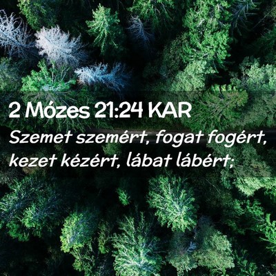 Picture 02 - 2 Mózes 21:24 KAR - Szemet szemért, fogat fogért, kezet kézért, - Bible Verse Picture