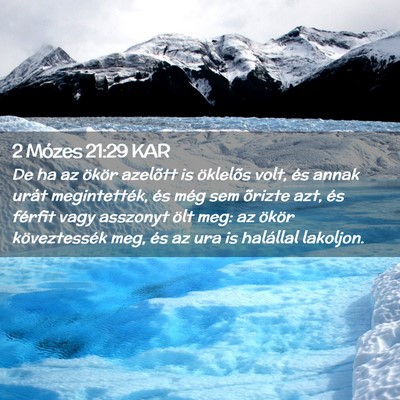 Picture 02 - 2 Mózes 21:29 KAR - De ha az ökör azelõtt is öklelõs volt, és - Bible Verse Picture