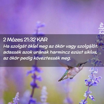 Picture 02 - 2 Mózes 21:32 KAR - Ha szolgát öklel meg az ökör vagy - Bible Verse Picture