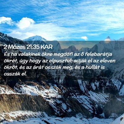 Picture 02 - 2 Mózes 21:35 KAR - És ha valakinek ökre megdöfi az õ - Bible Verse Picture