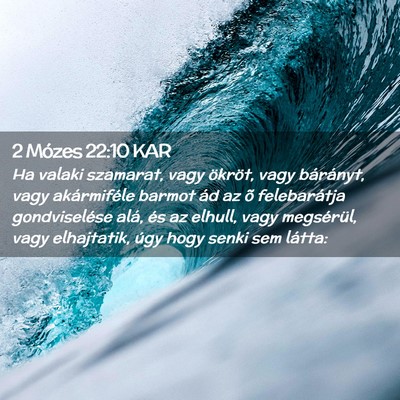 Picture 02 - 2 Mózes 22:10 KAR - Ha valaki szamarat, vagy ökröt, vagy bárányt, - Bible Verse Picture