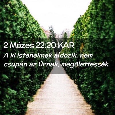 Picture 02 - 2 Mózes 22:20 KAR - A ki isteneknek áldozik, nem csupán az Úrnak, - Bible Verse Picture