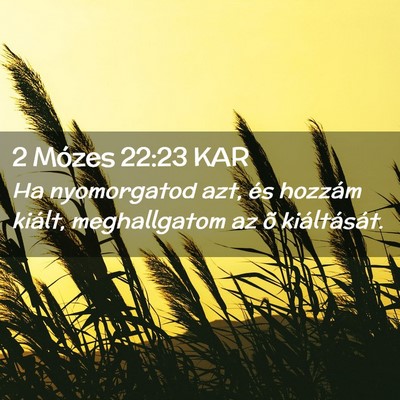 Picture 02 - 2 Mózes 22:23 KAR - Ha nyomorgatod azt, és hozzám kiált, - Bible Verse Picture