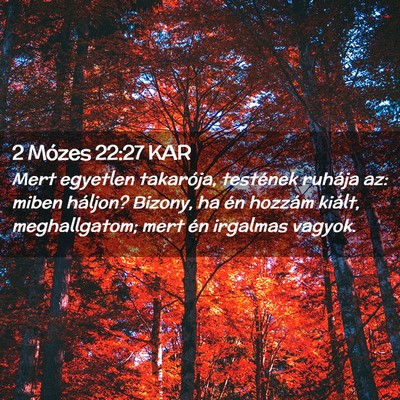 Picture 02 - 2 Mózes 22:27 KAR - Mert egyetlen takarója, testének ruhája az: - Bible Verse Picture