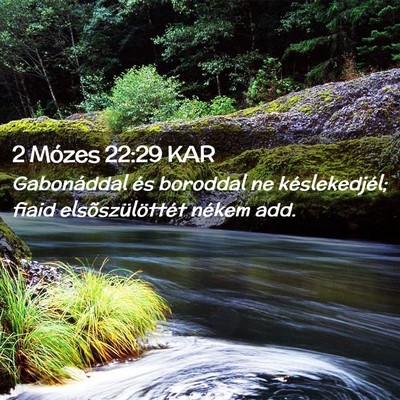 Picture 02 - 2 Mózes 22:29 KAR - Gabonáddal és boroddal ne késlekedjél; fiaid - Bible Verse Picture
