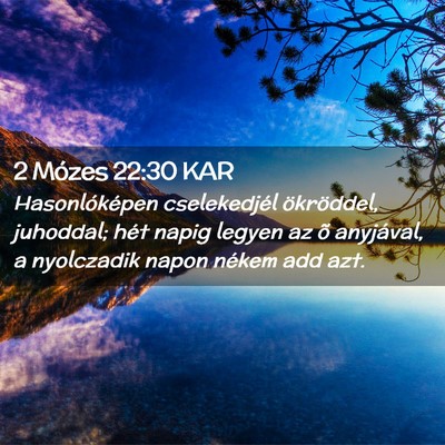 Picture 02 - 2 Mózes 22:30 KAR - Hasonlóképen cselekedjél ökröddel, juhoddal; - Bible Verse Picture