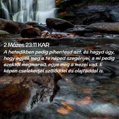 Picture 02 - 2 Mózes 23:11 KAR - A hetedikben pedig pihentesd azt, és hagyd úgy, - Bible Verse Picture